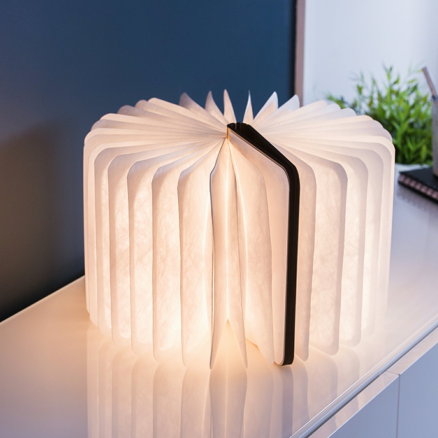 Gingko Large Walnut Smart Book Light, Natural Wood