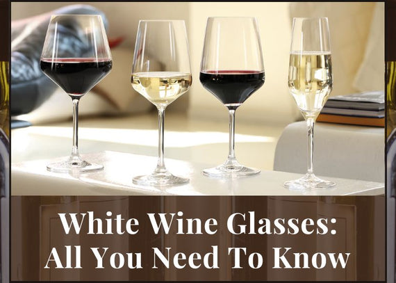 White Wine Glasses: All You Need To Know