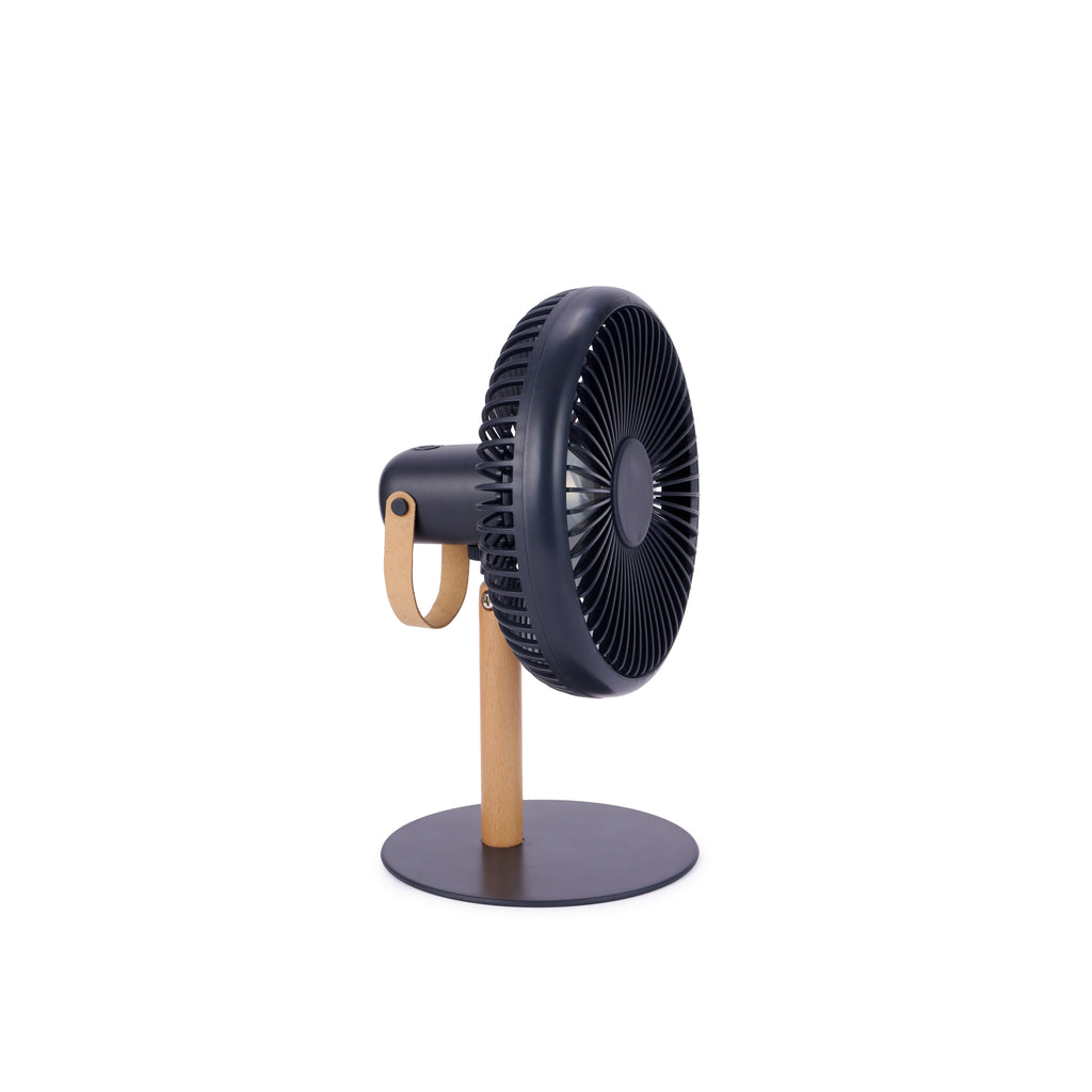 Gingko Beyond Detachable Desk Fan/Light