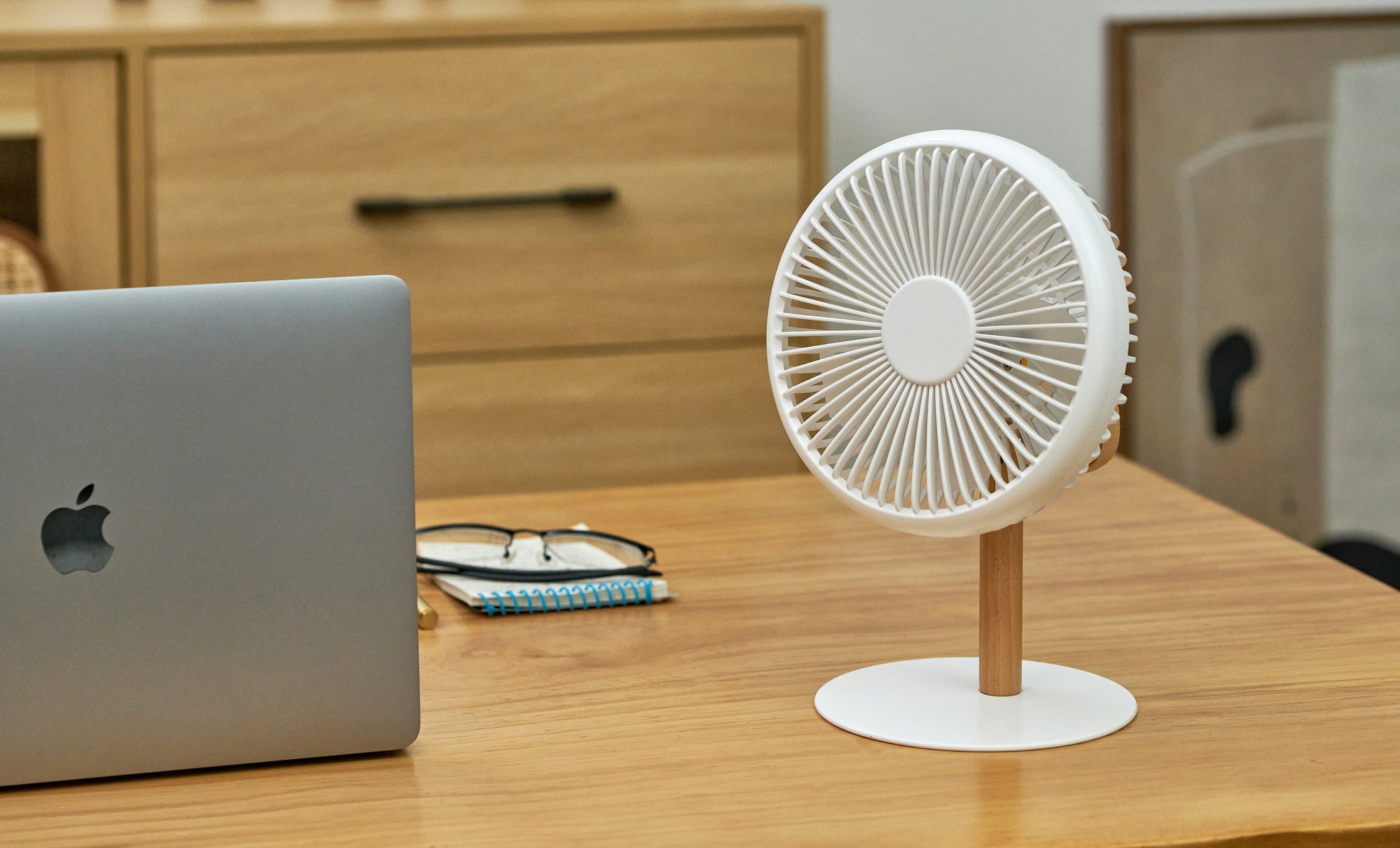 Gingko Beyond Detachable Desk Fan/Light