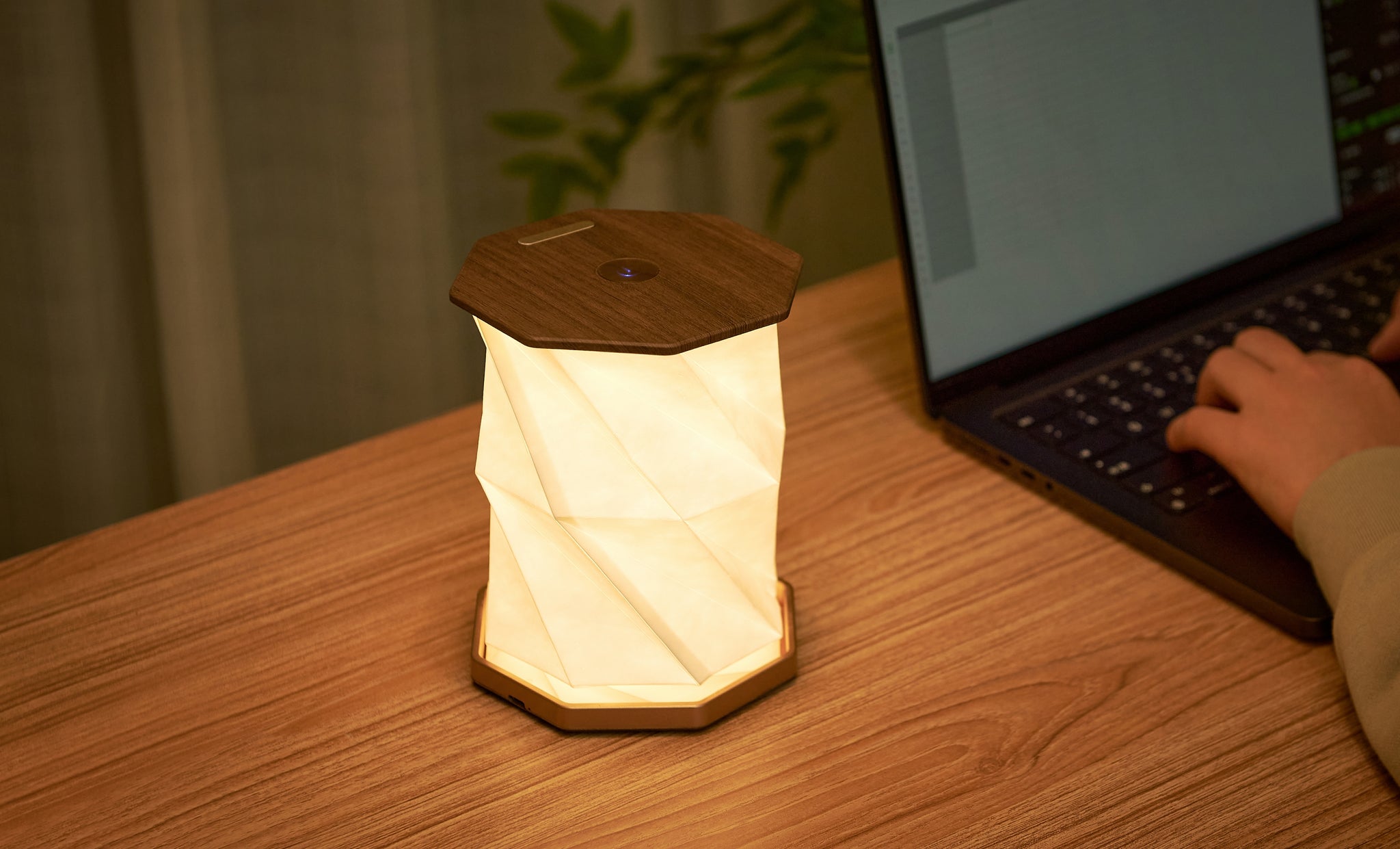 Gingko Twist Hexagon Lamp