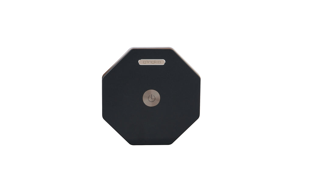 Gingko Twist Hexagon Lamp
