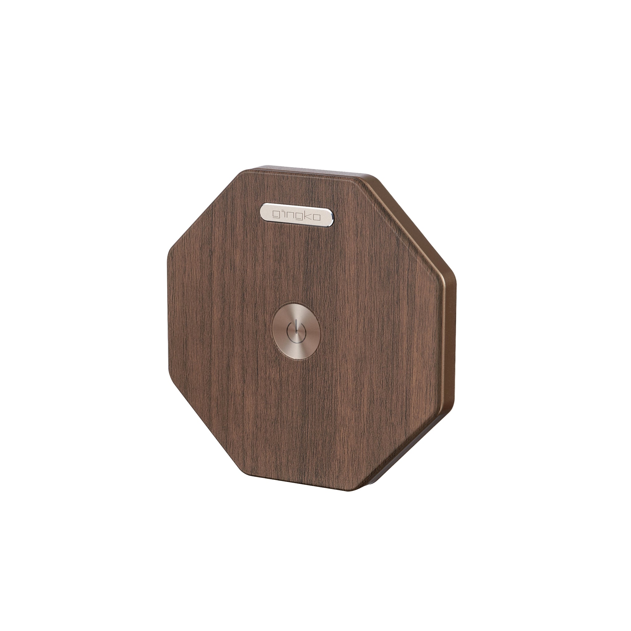 Gingko Twist Hexagon Lamp
