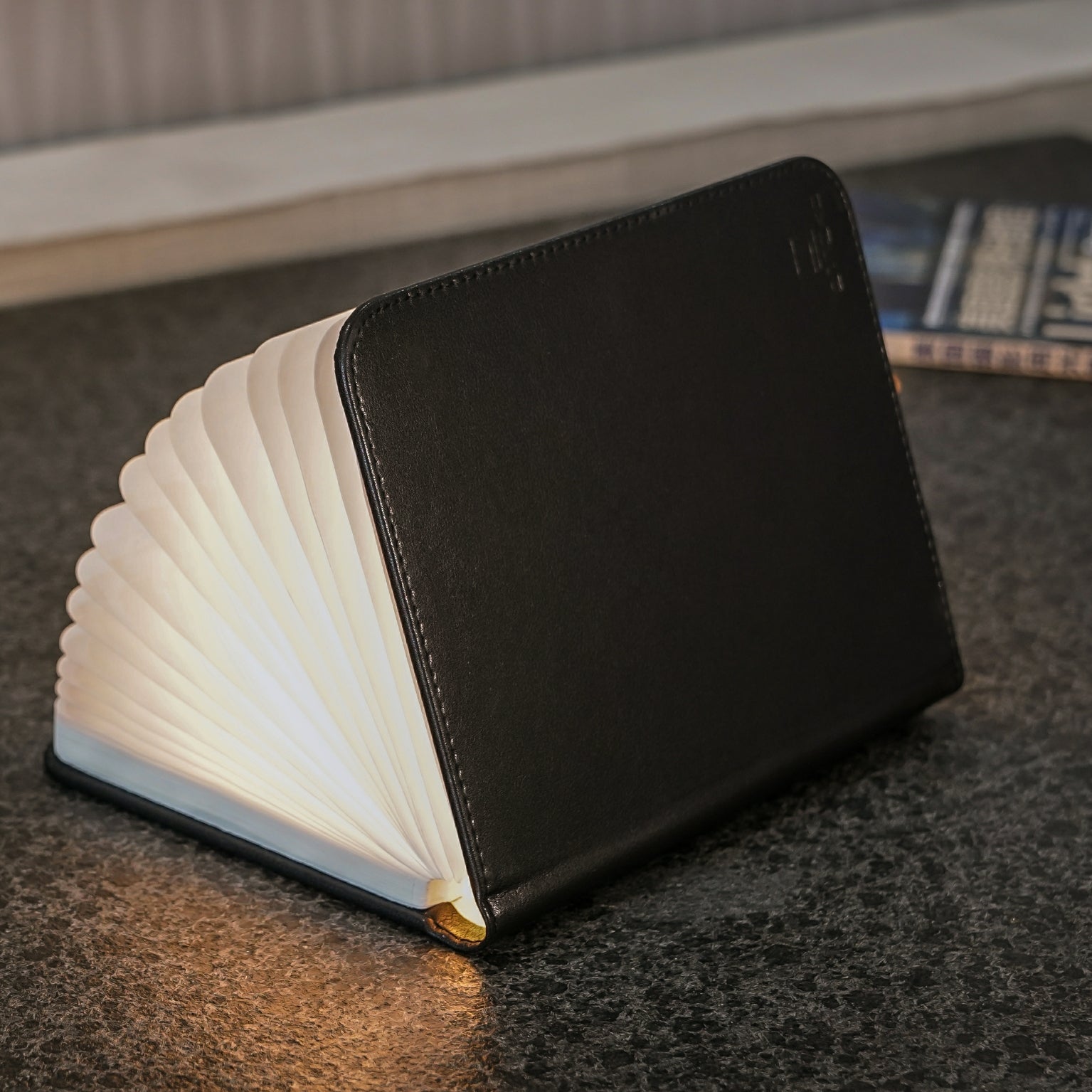 Gingko Large Fibre Black Smart Book Light, Leather