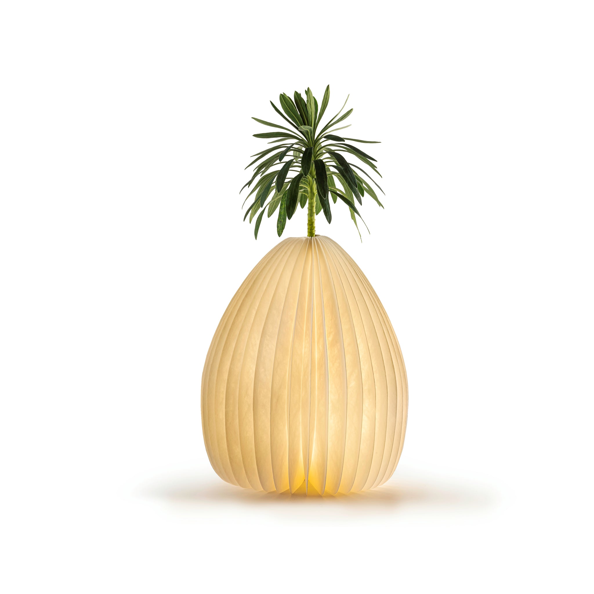 Gingko Smart Vase Light, Walnut