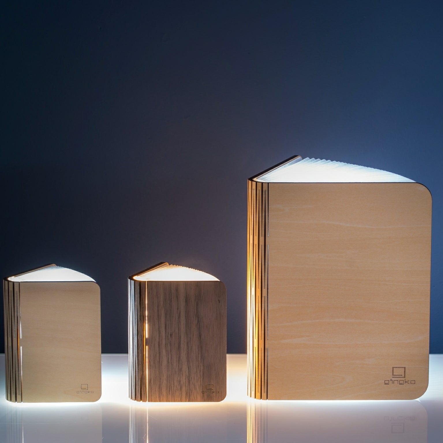 Design Smart Book Gingko Large Walnut Smart Book Light, Natural Wood – Sol le Luna Concepts