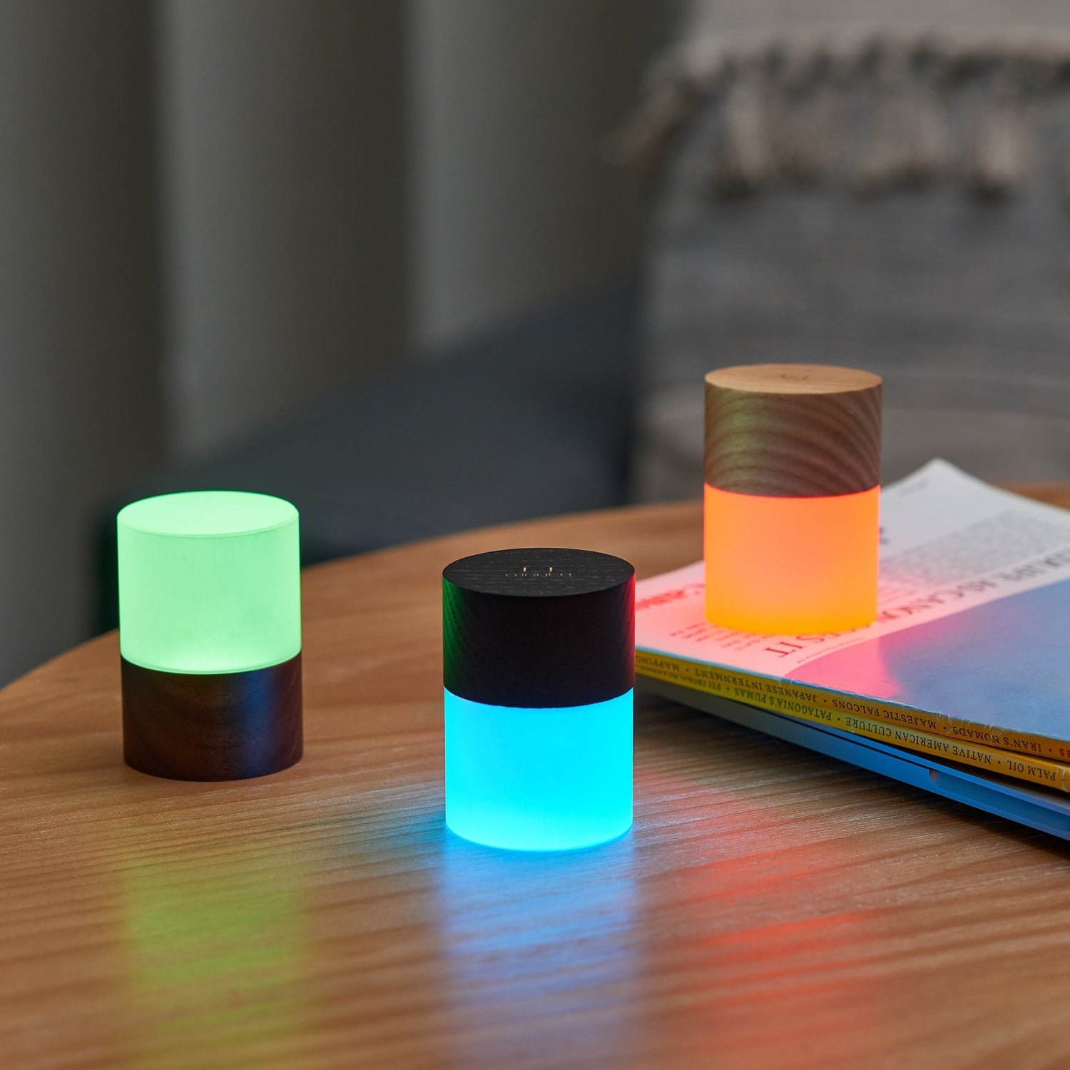 Gingko Lemeia Light, Cordless